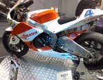 Moto 2 GP (3).jpg